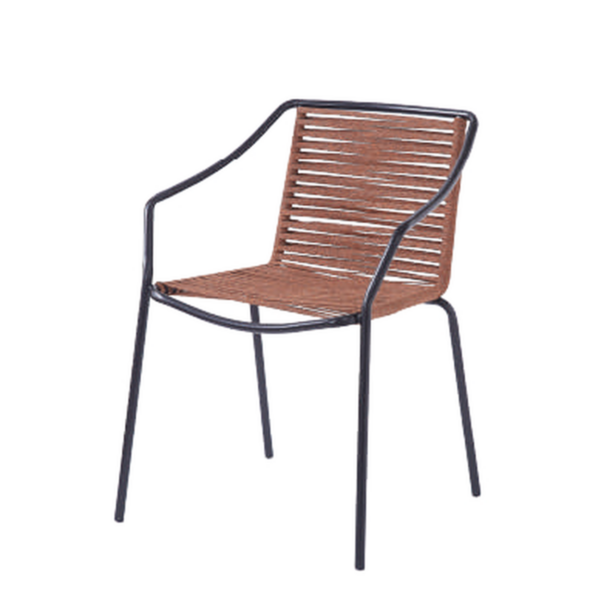 SI 193 ARM